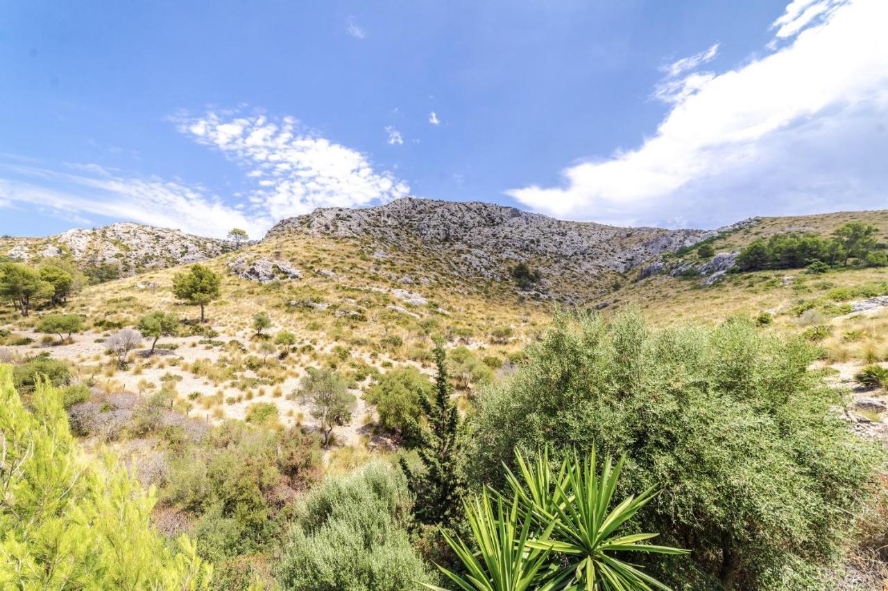 Nature * Alcudia (Mallorca)
